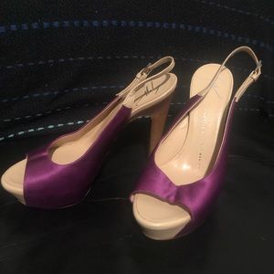 Giuseppe Zanotti